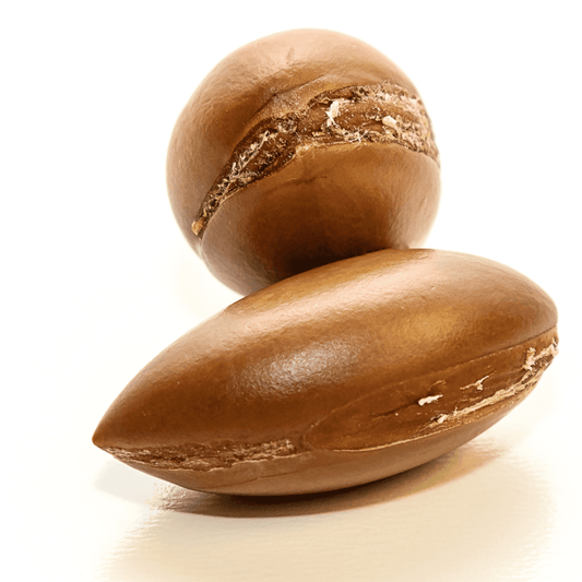 Moroccan Oil Treatment